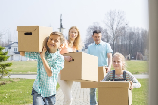 Family Carrying Boxes